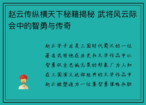 赵云传纵横天下秘籍揭秘 武将风云际会中的智勇与传奇